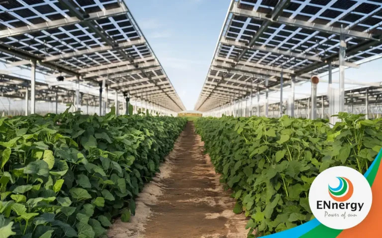 Agri PV Anlagen: Wie Landwirtschaft und Solarenergie gemeinsam die Zukunft gestalten